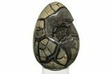 Septarian Dragon Egg Geode - Black Crystals #235344-1